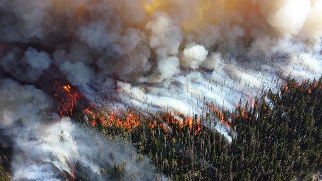 Air pollution got you choked up?